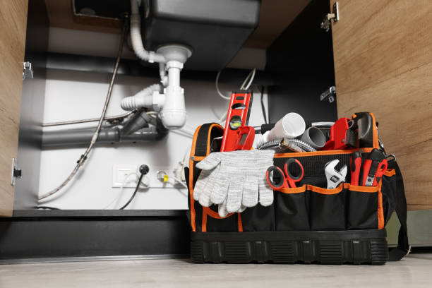 Best Emergency Plumber  in Westby, WI